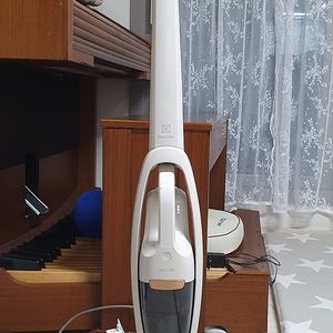 일렉트로룩스 Well Q6 Pet 무선청소기 판매