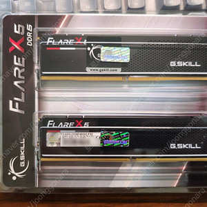 [G.SKILL] 지스킬 램 DDR5 RAM PC5-48000 CL30 FLARE X5 J [96GB (48GB*2)] (6000)