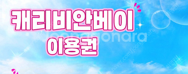 캐리비안 베이 종일권 판매 (구명조끼 미포함 4만원)--0