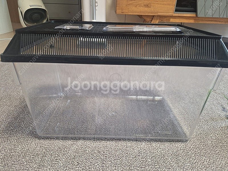 사각채집통 왕대사이즈 플라스틱 어항--0