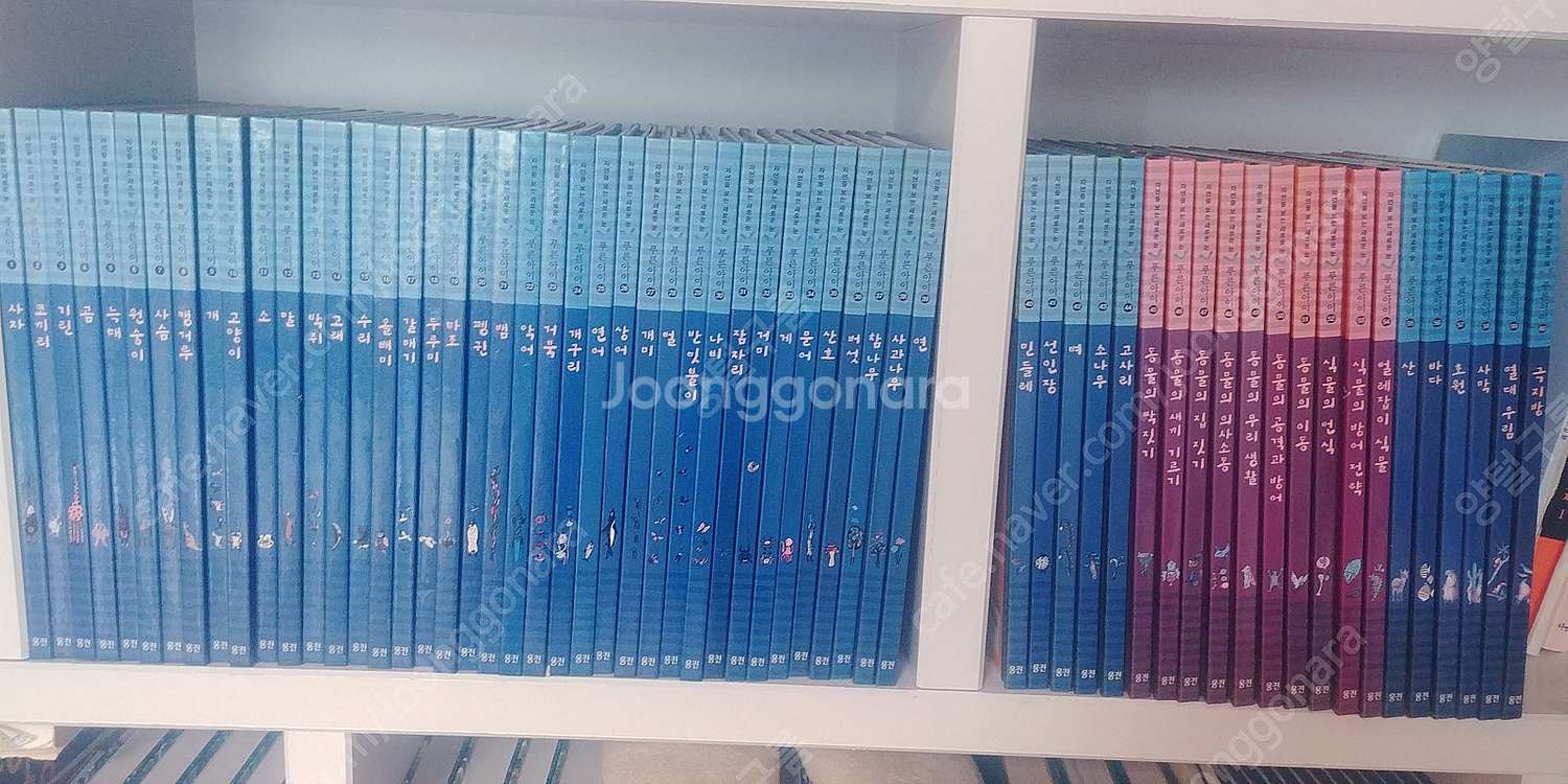 새책 중고전집 초등학생 학습 자연을 보는새로운눈 푸른아...--1
