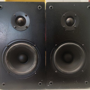 hifi 엑티브스피커 캔스톤 R50