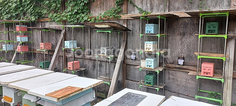 양봉 분양 , 토종벌분양(5~8매)--2