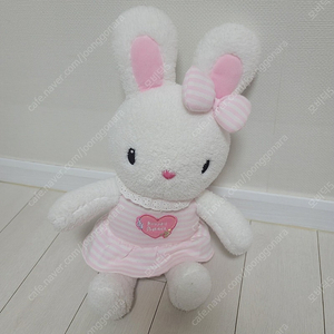 자장자장콩지래빗