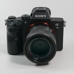소니 A7M3 + 짜이즈 55mm. 1.8 단렌즈