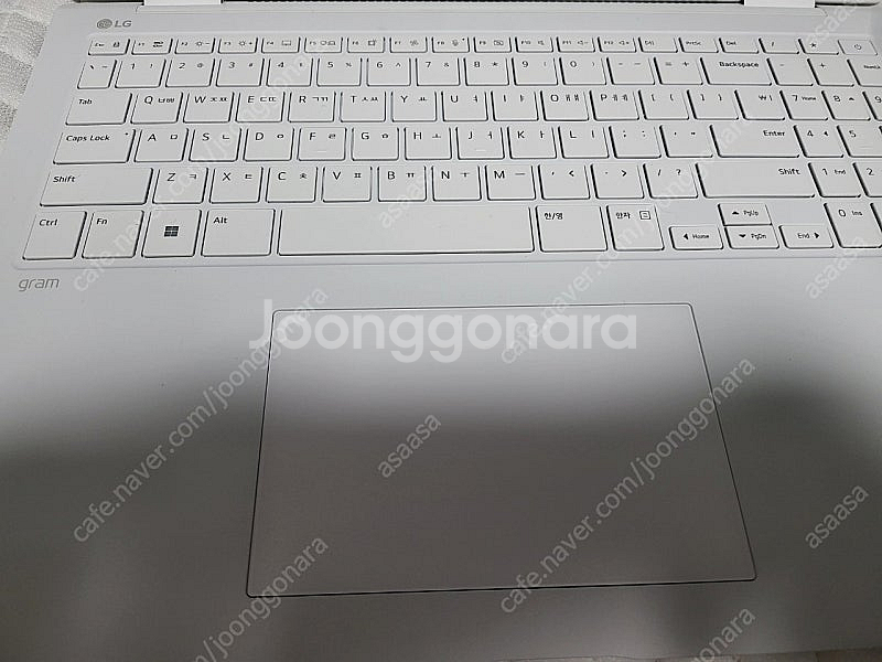 그램 프로 360 155h u7 16gb 4tb 화이트--1