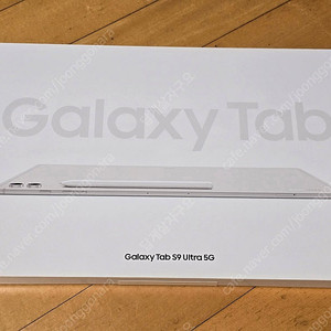 갤럭시탭 s9 울트라 5G 256기가