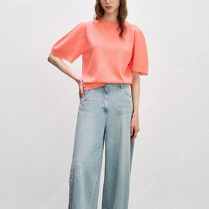 시스템 톰그레이하운드 일괄