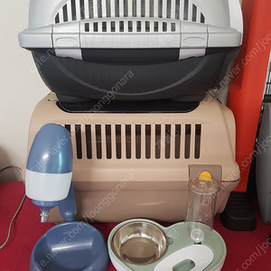 강아지용품 일괄다처분 새상품 이미지