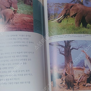새책 중고전집 초등학생 학습 자연을 보는새로운눈 푸른아이 과학 동화책 웅진 교원 자연관찰