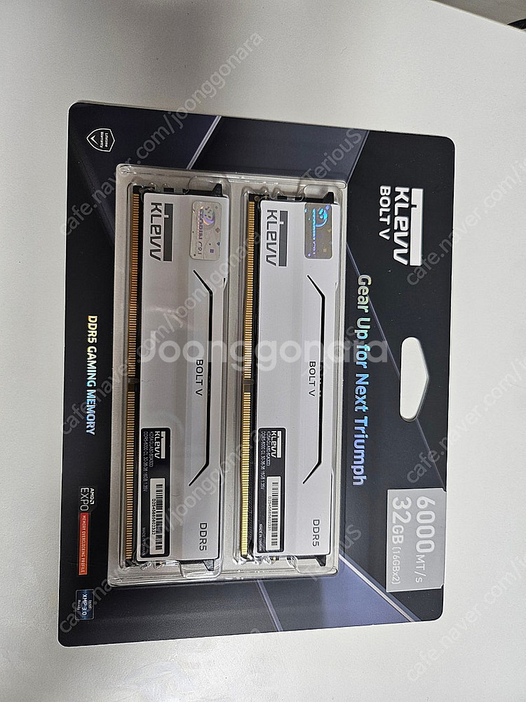 에센코어 BOLT V DDR5-6000CL30미개봉--0