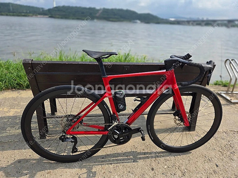 2025 파스포츠 RAF Z06 105 Di2 카본 에...--0