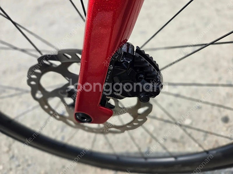 2025 파스포츠 RAF Z06 105 Di2 카본 에...--4
