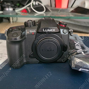 파나소닉 gh5m2 민트급 판매
