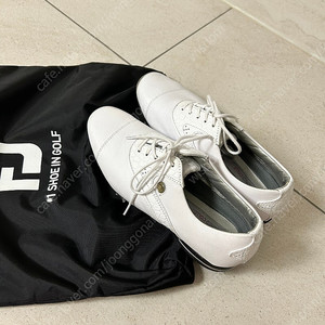 풋조이 프리미엄 골프화