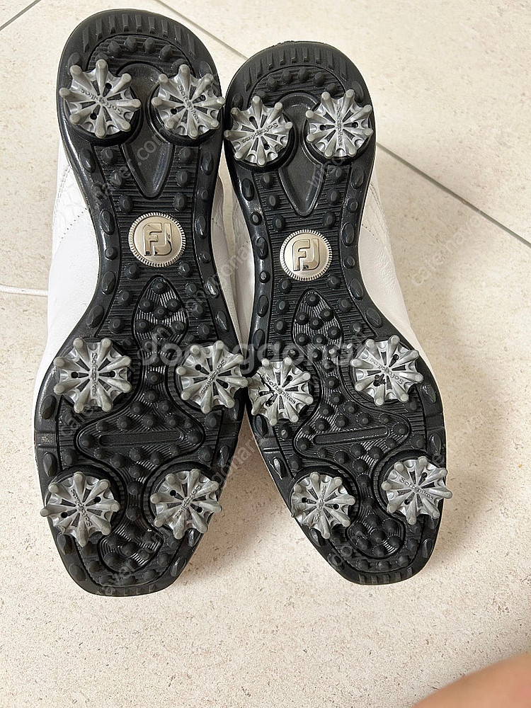 풋조이 프리미엄 골프화--1