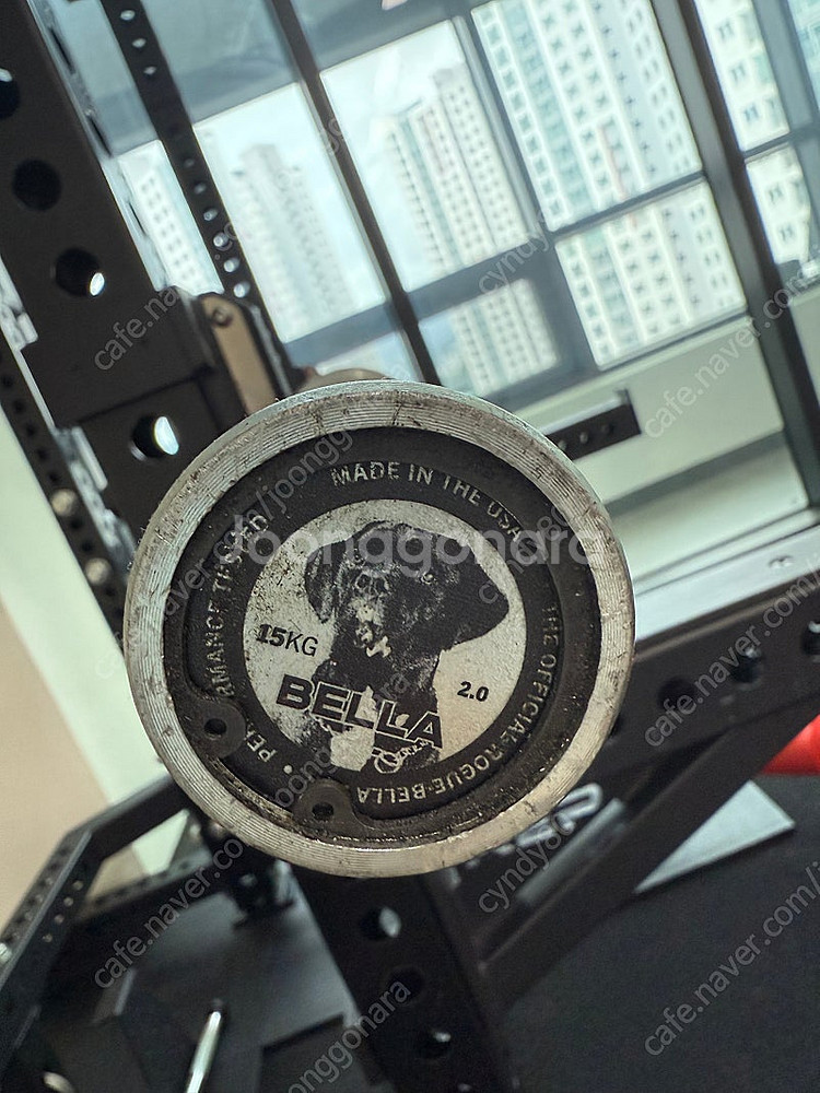 REP 파워렉 pr5000 세트--4