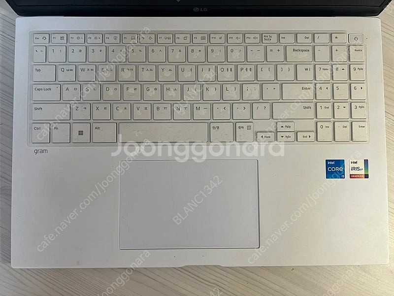 LG Gram 노트북 i5 13세대 16zd90ru-gx56k--1