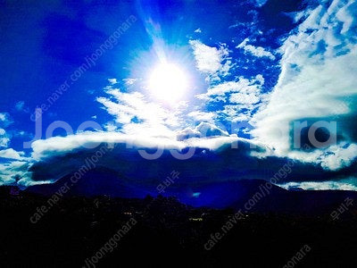 메가박스 cgv 문화의 날 예매 4000원 / 메가박스 cgv F1 더 무비 좀비딸 극장판 귀멸의 칼날 무한성편 4...--0