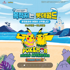 롯데월드 자유이용권 종일권 성인4매 일괄