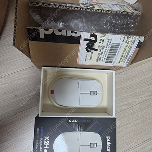 Pulsar X2H eS 화이트 Size2 / 펄사x2