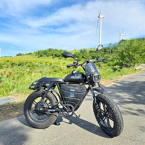 [최저가 250만원]엑스라이더 X200T 2000W 고출력 자토바이 판매