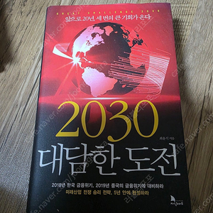 2030 대담한도전