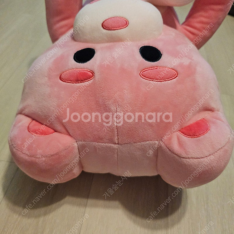 벨리곰 ×위글위글 쿠션담요--4