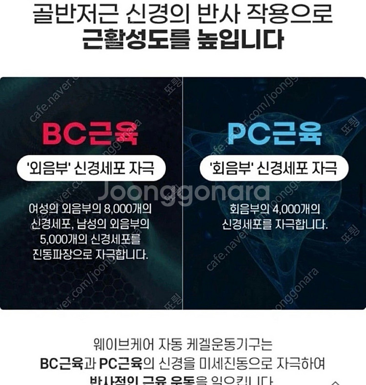 (새제품) 자동 케겔 운동, 웨이브케어 V10 최신형--8
