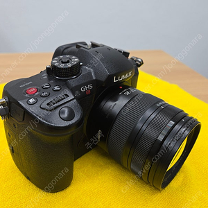 루믹스 GH5S와 12-35mm 렌즈