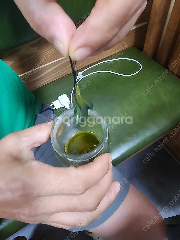 대포이송기 구합니다--0