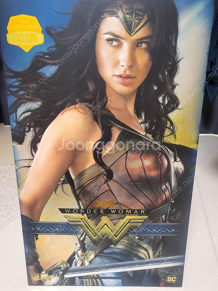 핫토이 WB100 원더우먼 팝니다--0