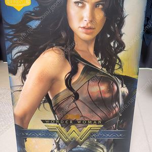 핫토이 WB100 원더우먼 팝니다