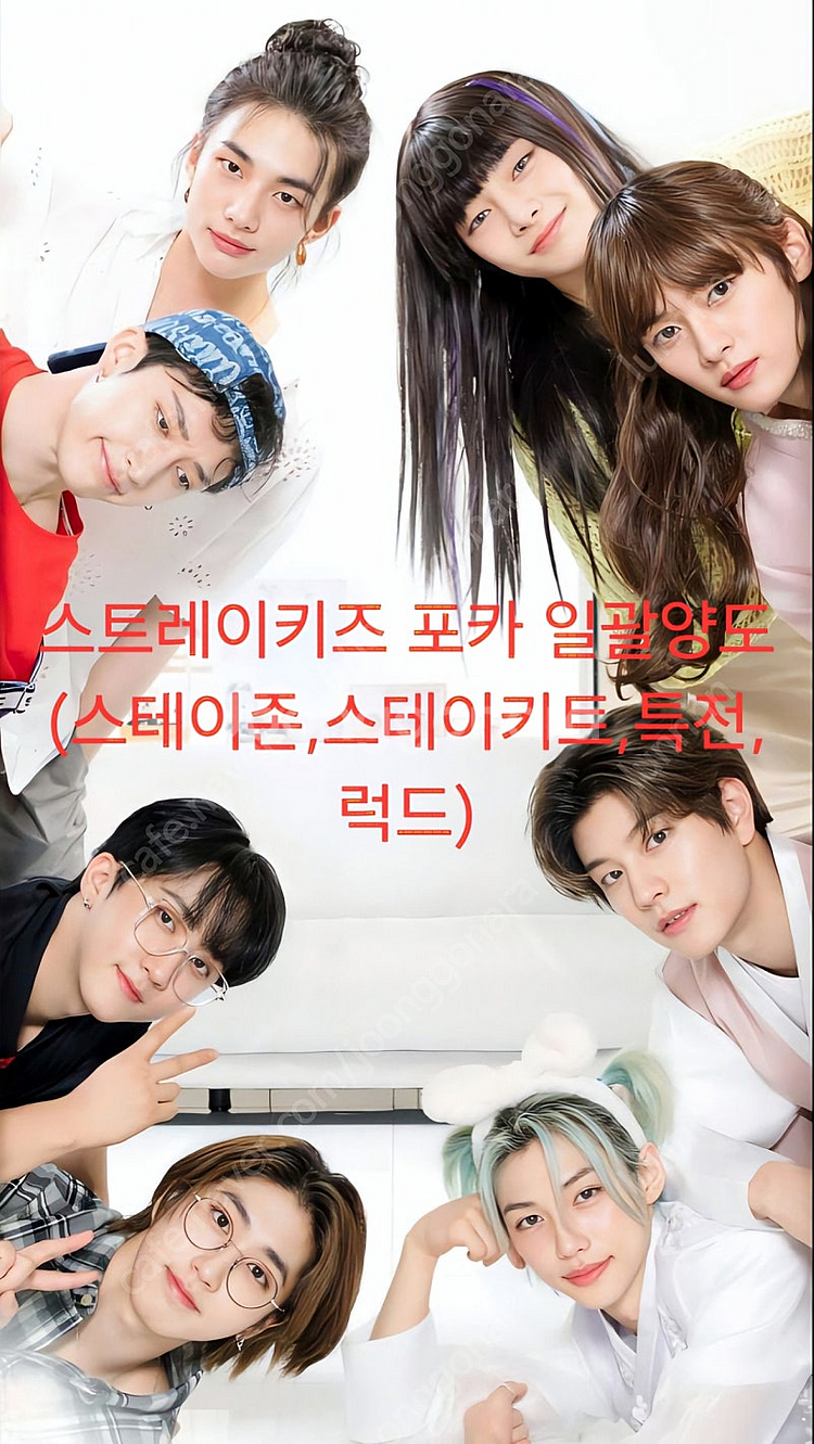 스트레이키즈 포카 일괄양도--0