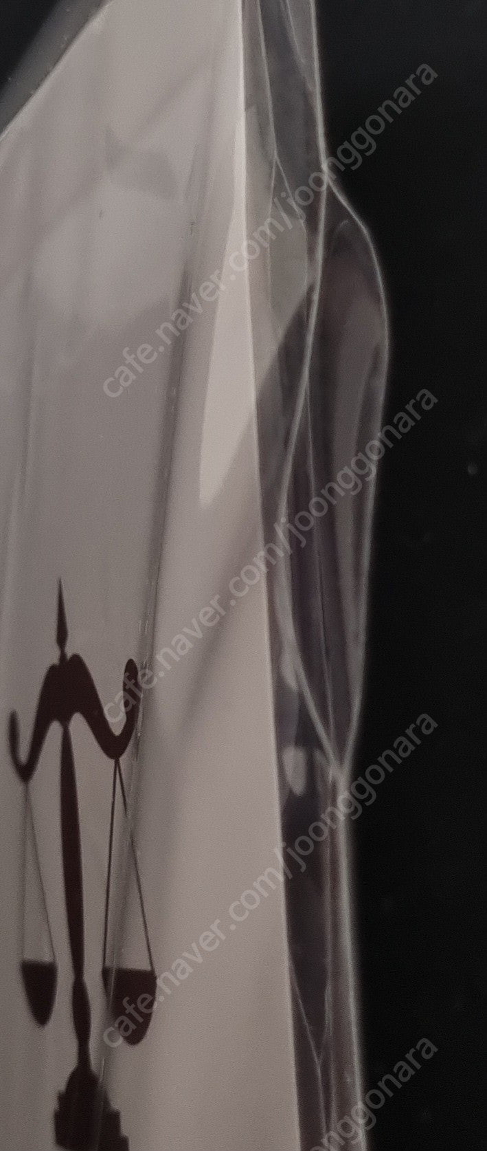 역전재판 미츠루기 캡콤 중국 차이나 스토어 판다 팬더 아크릴 스탠드 이미지