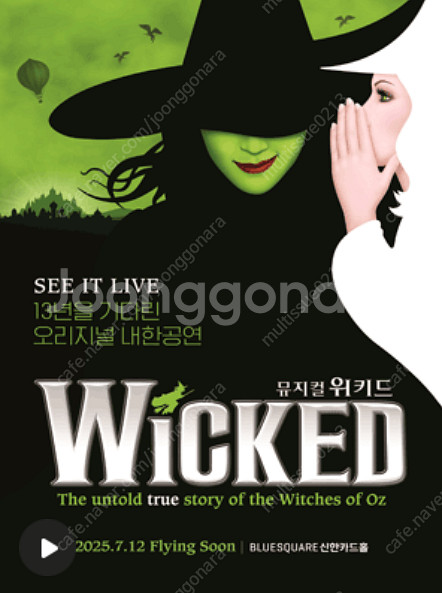 뮤지컬 위키드 10/25 낮공 VIP석 1열 중앙 2연...--0