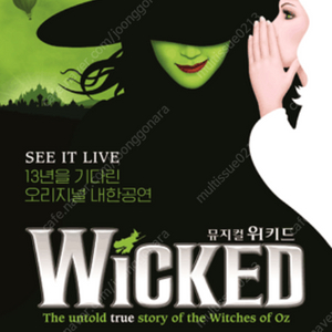 뮤지컬 위키드 10/25 낮공 VIP석 1열 중앙 2연석