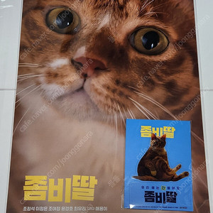 좀비딸 포스터 / TTT / pet 스탠드