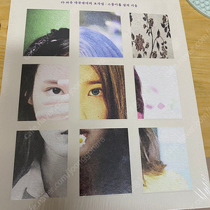 아이유 조각집 미개봉