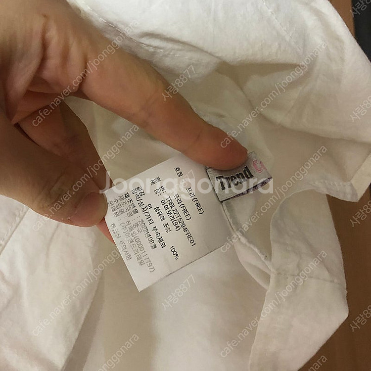 빅카라 코튼100 자수 세라 레이스 카라 아일렛 벌룬 ...--5