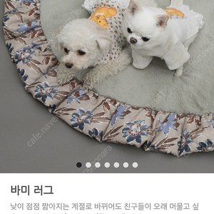 루이독 하트채러티 바미러그