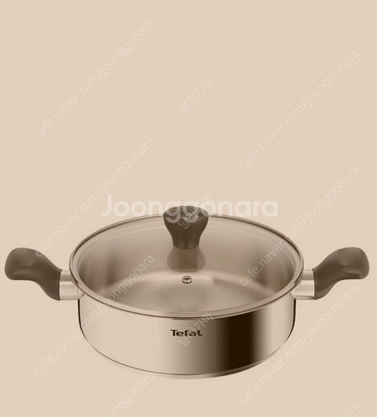 테팔 인덕션 스테인리스 스틸 이지쿡 전골냄비, 24cm...--0