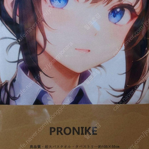 애니 일러스트 장타월