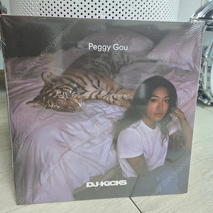 페기 구 LP 2장 일괄