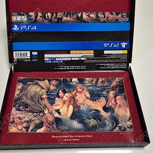 PS4 드래곤즈 크라운 Pro 한정판 (마지막글)