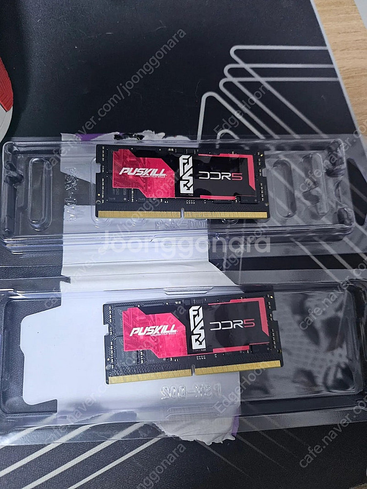 푸스킬 PUSKILL ddr5 5600 32g 판매 (...--0