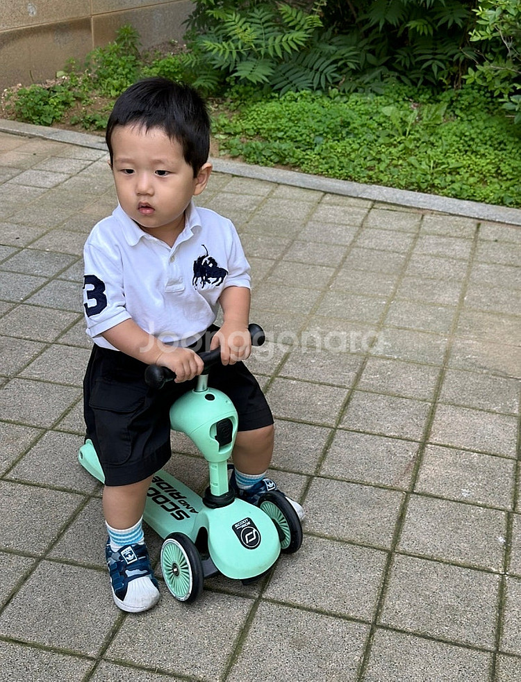키즈 남아 폴로 pk 티셔츠 일괄--8