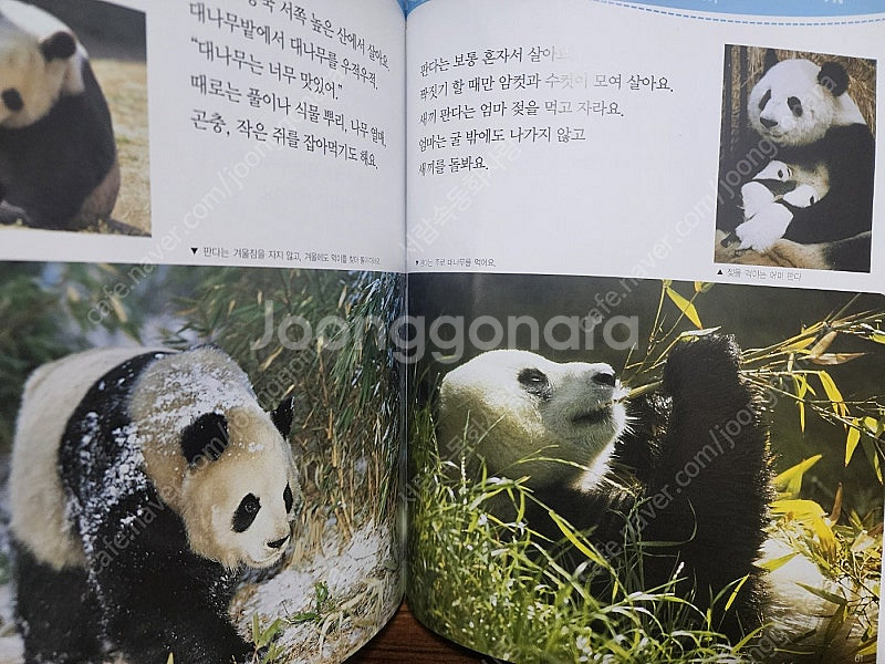 [한국톨스토이] 꿈틀꿈틀 자연관찰(택포)--3