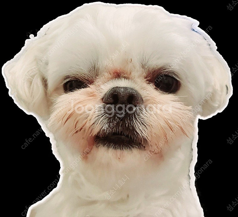 네이버페이 포인트상품권 삽니당--0