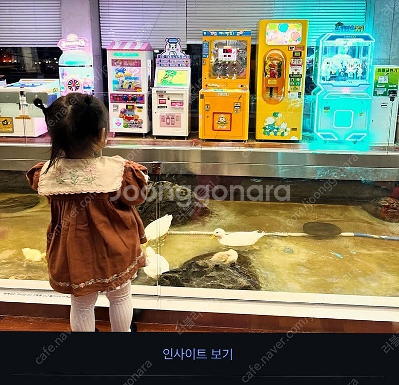 아폴리나 초블 st--0